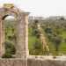 ...che ci conduce sul tetto delledificio: una terrazza dominata da un campanile a vela ormai privo di campana 